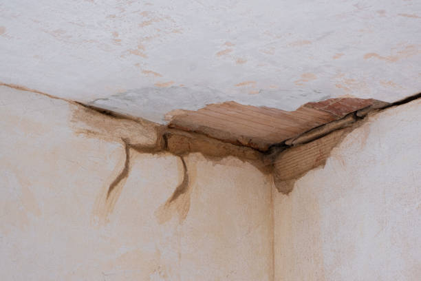  Hampton, VA Water damage restoration Pros