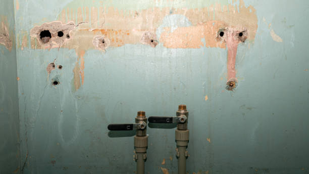 Water damage restoration mold remediation in Hampton, VA