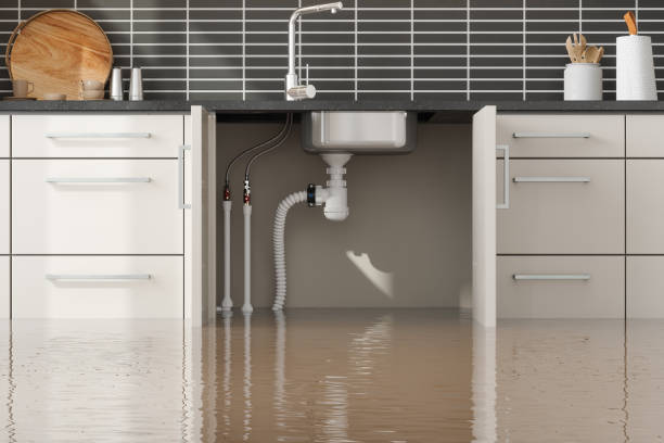 Best Water damage repair service  in Hampton, VA