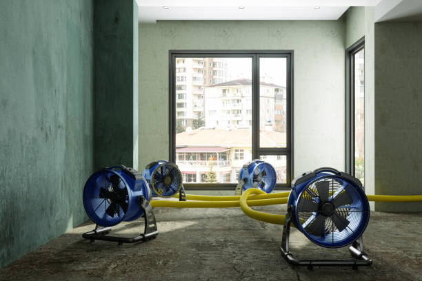 Best Residential water damage restoration  in Hampton, VA